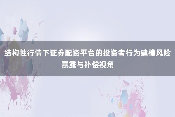 结构性行情下证券配资平台的投资者行为建模风险暴露与补偿视角