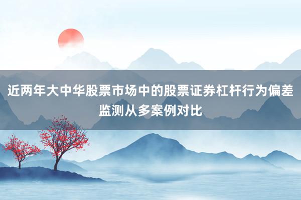 近两年大中华股票市场中的股票证券杠杆行为偏差监测从多案例对比