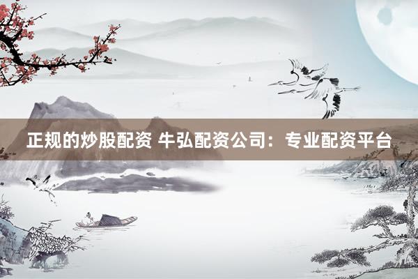正规的炒股配资 牛弘配资公司：专业配资平台