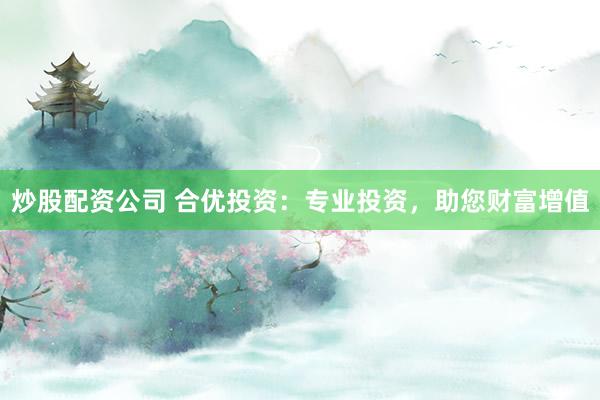 炒股配资公司 合优投资：专业投资，助您财富增值