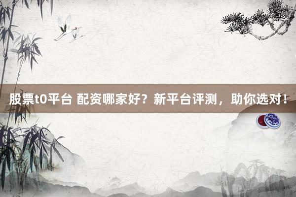 股票t0平台 配资哪家好？新平台评测，助你选对！