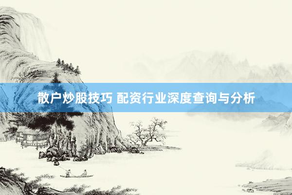 散户炒股技巧 配资行业深度查询与分析