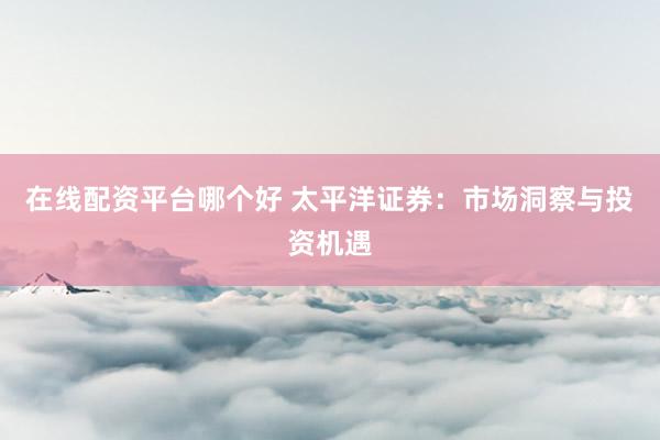 在线配资平台哪个好 太平洋证券：市场洞察与投资机遇