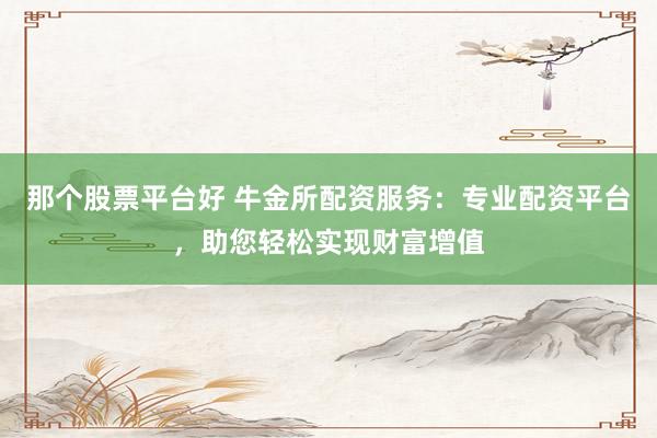 那个股票平台好 牛金所配资服务：专业配资平台，助您轻松实现财富增值